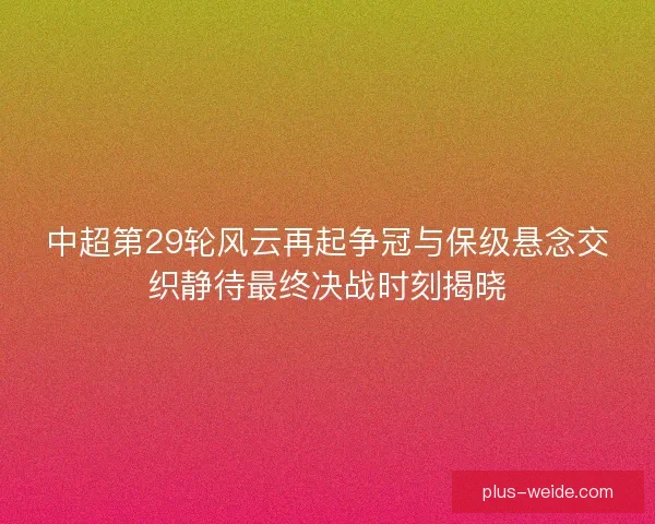 中超第29轮风云再起争冠与保级悬念交织静待最终决战时刻揭晓